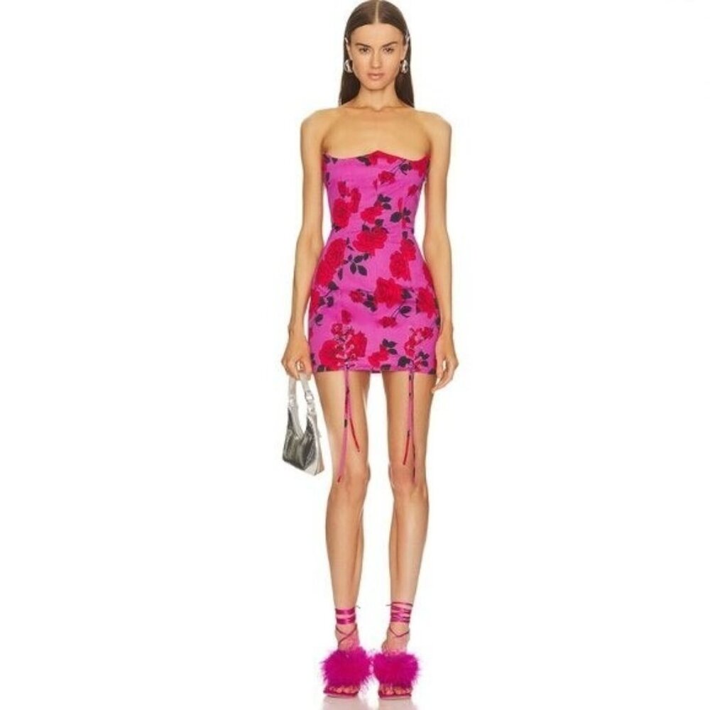 Mirae Chance Dress in Rose. SOLD OUT ON REVOLVE. NWT $370 Retail, size 36/S